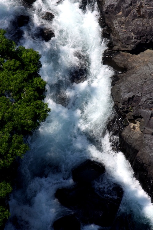 Looking down at the Honsho River (本庄川) from the Teruha Suspension Bridge (照葉大吊橋)By : Joel(Do no