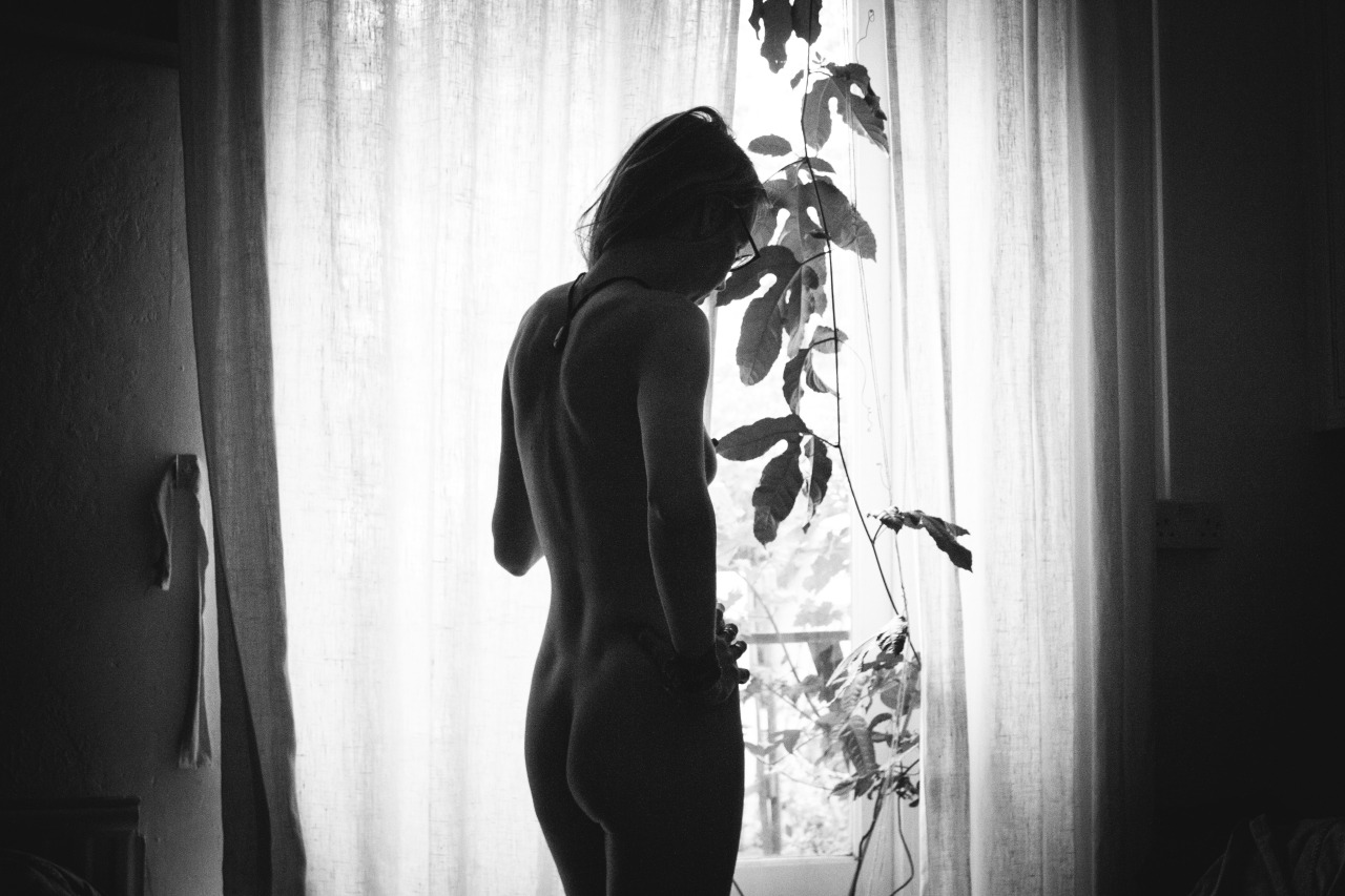 sugarmagnohlia:  sugar (by king-snake) 