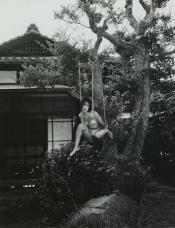medieuses:NOBUYOSHI ARAKI