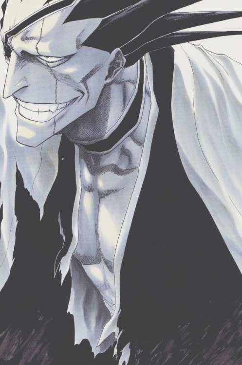 toshiro1234: Top 10 Bleach characters  #10: Kenpachi Zaraki