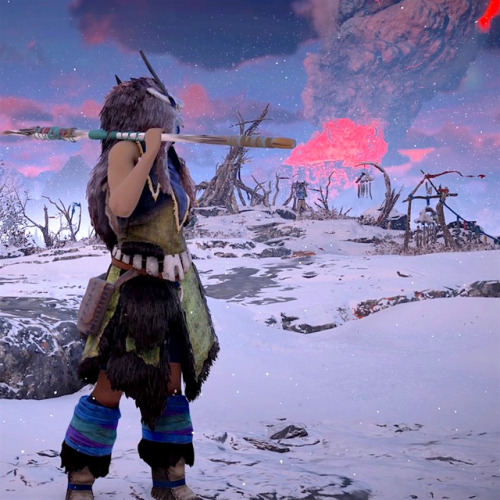 hzd npc