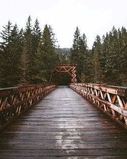 Pieceofwilderness:  I Can Lead You To The Bridge But It’s Up To You To Cross It.