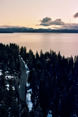 dearscience:  Tahoe Trail by Samuel Crossley 