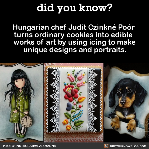 Porn photo section1rules:  did-you-kno:  Hungarian chef