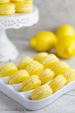 intensefoodcravings:  Lemon French Macarons | Sweet &amp; Savory by Shinee