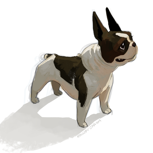 I was having a bit of a creative block, so I decided to paint a puppy…I feel better now XD