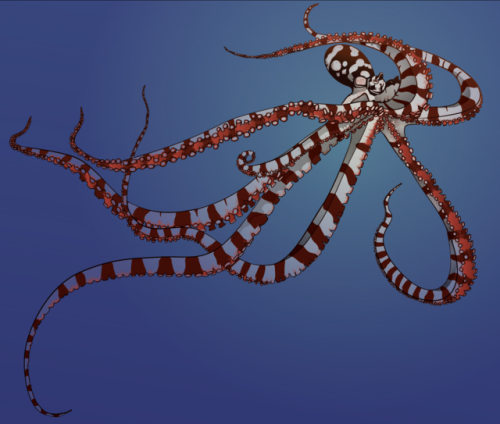 And now for something completely different - a drawing of a happy little wunderpus. jessieyou