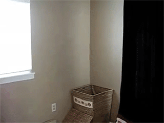 sizvideos:  Cat Helps with the Laundry - Video 
