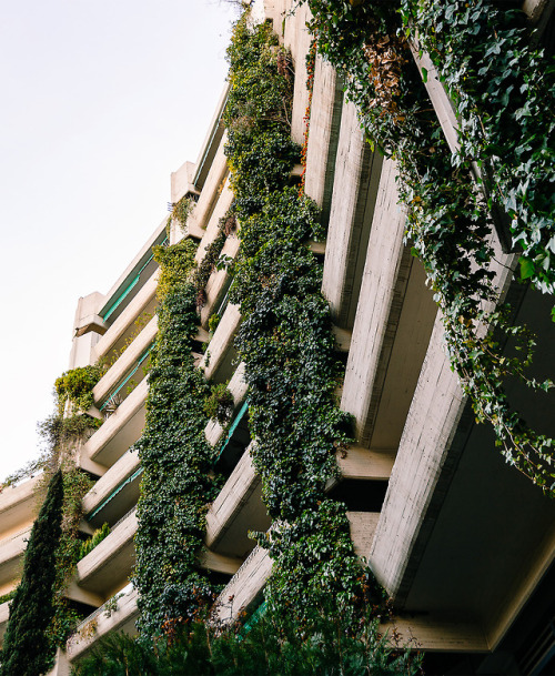 sosbrutalism: The hanging gardens of Madrid:Fernando Higueras Díaz: Viviendas Militares San B