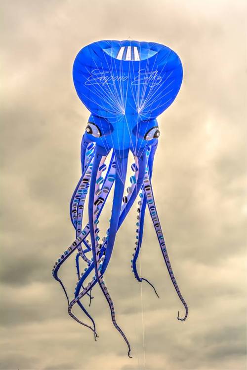 emporioefikz: Giant Octopus Kite, Châtelaillon-Plage, France A post shared by Emporio 