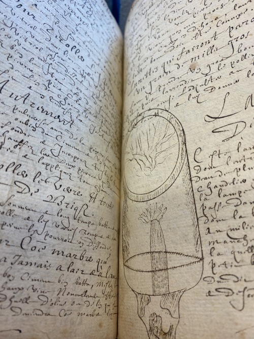 Ms. Codex 113 - [La chimie, couleurs, parfumerie] Perfumes! This manuscript features a collection of