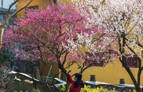 fuckyeahchinesegarden:鸡鸣寺 jiming temple, nanjing, jiangsu province