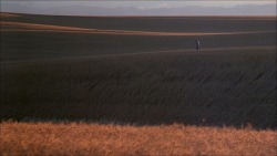carcosachild:  Days of heaven (1978)“   I always thought that being alone was just something that a man had to put up with “ 