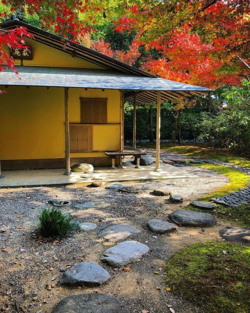 浜松市茶室 松韻亭庭園 [ 静岡県浜松市 ] ② Shointei Garden, Hamamatsu, Shizuoka ーー世界的建築家 #谷口吉生 が設計を手掛けた貴重な茶室建築。 #岩城造園 