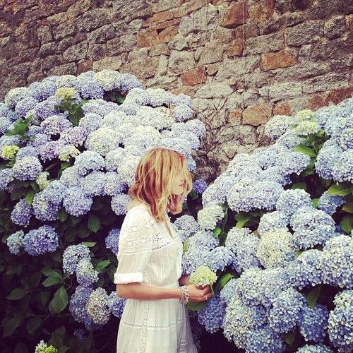 delicious&ndash;desires:  Find me amongst the hydrangeas…