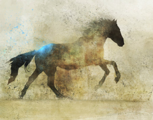 lohrien:  Illustrations by Ken Roko etsy l tumblr