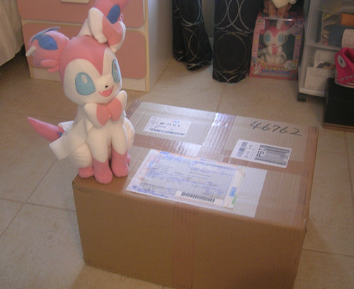 so here’s that big package i was expecting from japan !! i’m so excited, i’m freaking out, Bijou is here to help me open the box      aaaaahhhh new precious items for my Sylveon collection   I’m going to take more detailed photos