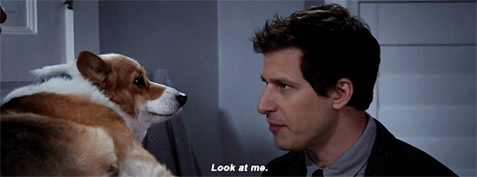 From Puppies To Porn Real Quick