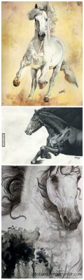 ragecomics4you:  I’ve been drawings horses practically since my birth. Hope you like!http://ragecomics4you.tumblr.com
