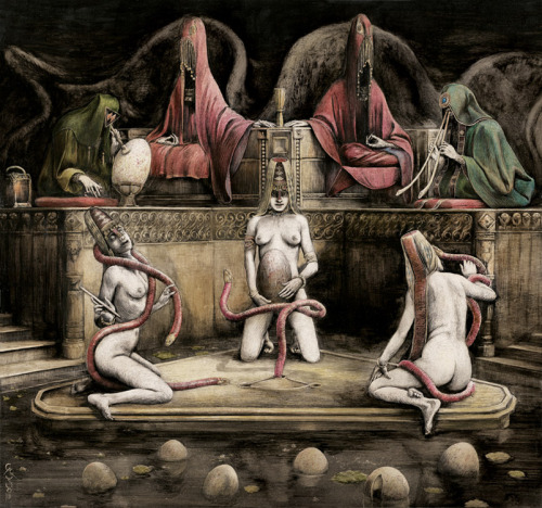 Amphisbaenidae - Santiago Caruso