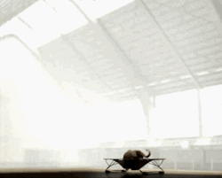 Failsnet:  Tumblr Fails.net - Elephant Trampoline Fun