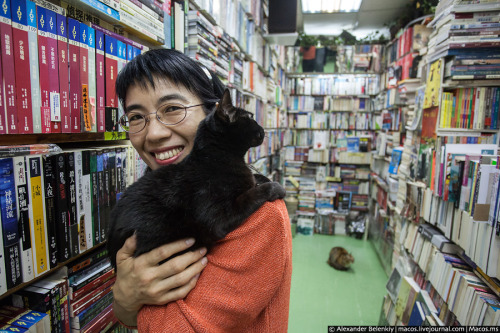 Cats and Books - Ms. Chan- Saving Stray Cats in Hong Kong.In the early 80’s, Hong Kong stray cats we