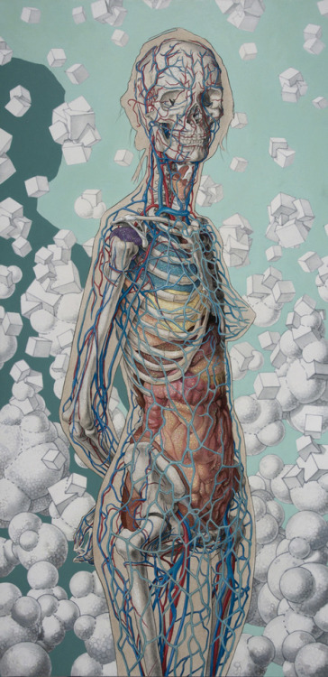 anatomic art by Michael Reedy