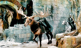 elves on a horses and then there’s thranduil. (◡‿◡✿)  