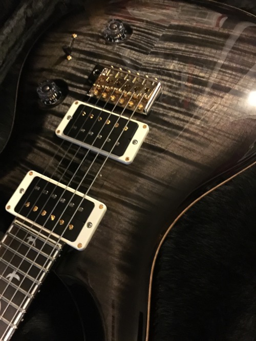 Sex My new PRS custom 24  pictures