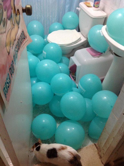 tomatolovers:  tomatolovers:  tomatolovers:  so my mom gave me all these ballons my mom also wakes up at 4am half asleep to go to pee without turning the lights on  i woke up with all the balloons on top of me and a note saying ‘next time i will pee