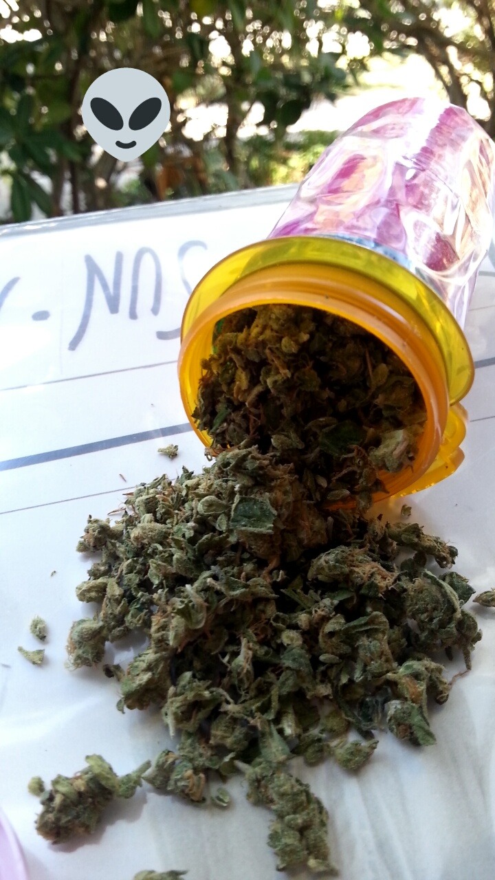 pinktoker:  Nothing more gorgeous then a hundred dolla bill