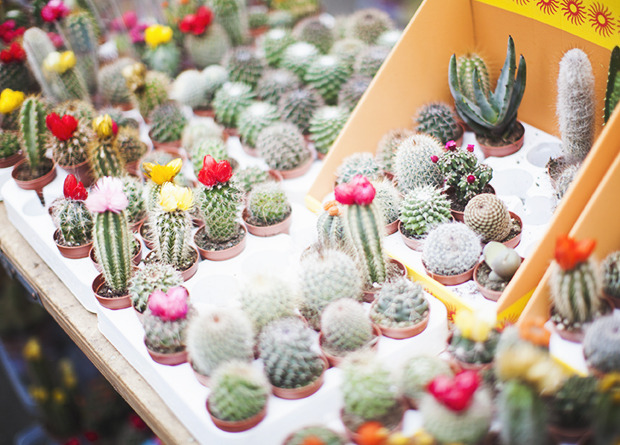 starfetti:  (via Carrie WishWishWish)