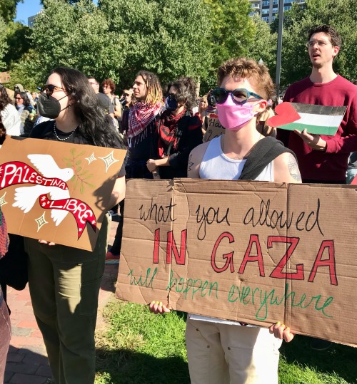 BOSTON COALITION FOR PALESTINE SHUT DOWN STORROW DRIVE FOR 30 Min 10/6/24!