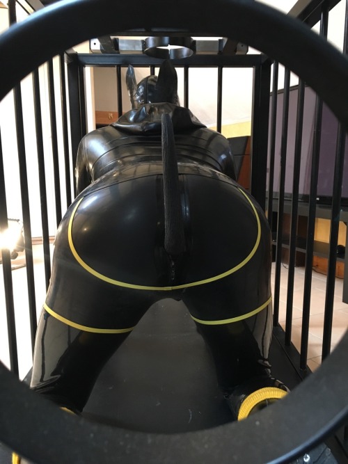 Porn Pics sonypup:  Cage afternoon for Sonypup !!!