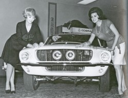 possit-de-tenebris:  my-retro-vintage:  Two ladies promoting the all new  Ford Mustang Shelby GT 500   1967     @fineapple4u @retrokarrots @missbrattlings @vegaskittycat @jor-3l @ladylionesschronicles