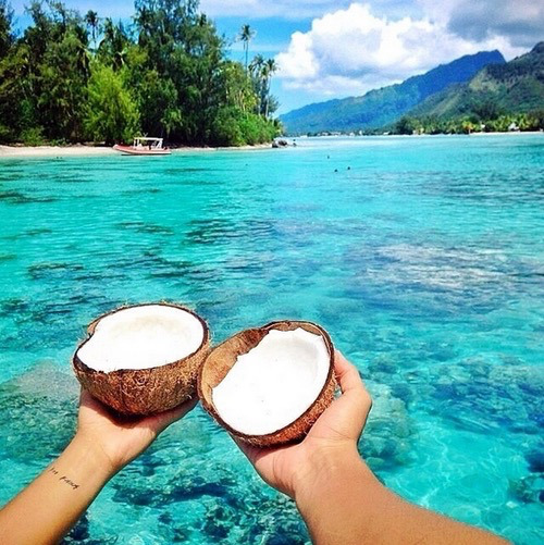 ☼ paradise ☼