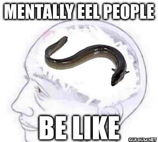 MENTALLY EEL PEOPLE BE...