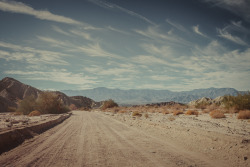 ordell:  Mojave desert, USA 