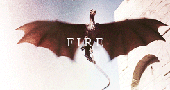 meerareed:  make me choose - anonymous asked: targaryen or tyrell 