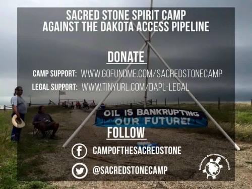 nativenews:nativenews: DONATE here to the Sacred Stone Camp. LEGAL DEFENSE FUND for Sacred Stone Spi