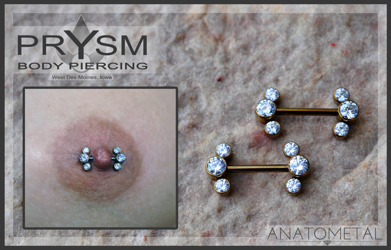 Anatometal nipple bars best sale