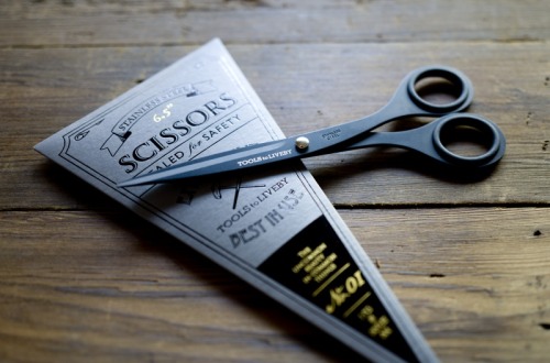 Stainless Steel Scissors by Tools to Liveby