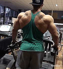 needsize:  Great view when doing my cardio. Woof! Thaigo Godelins 