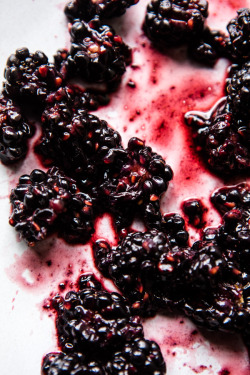 sweetoothgirl:  Blackberry Swirl Muffins with Honey Butter  