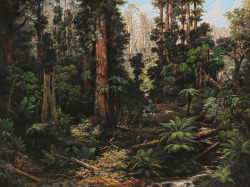 laclefdescoeurs:   In the Sassafras Valley, Victoria, 1875, Isaac Whitehead 