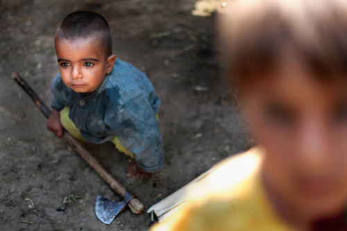 mashable:  In the Himalayan mountains in the Kashmir valley lives a community of nomads.  The Kashmi