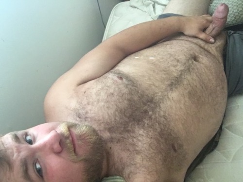 piggycubwa:  Was feeling cute this morning, horned up in bed with a newly trimmed beard 🐷🐻🐽😈 big oinks to all the guys getting ripe out there 🤤🤤🤤