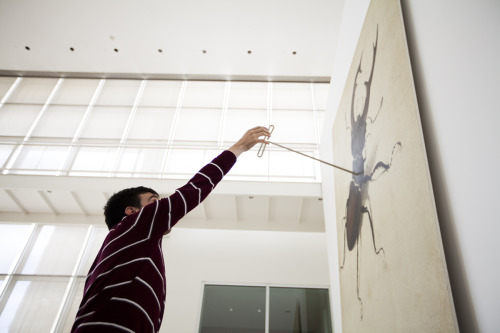 A 500-year-old watercolor of a beetle by Albrecht Dürer inspired this oversized artwork by John Bald