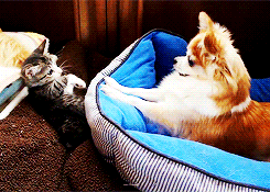 I bet these two could get along well&hellip;