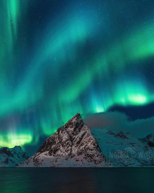 oneshotolive:  Northern Lights over Lofoten, Norway. [OC] [2400x3000] 📷: Nateloobz 